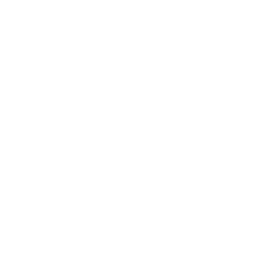 logo main